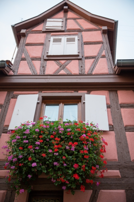 Eguisheim - 022